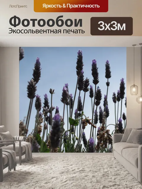Фотообои Лаванда