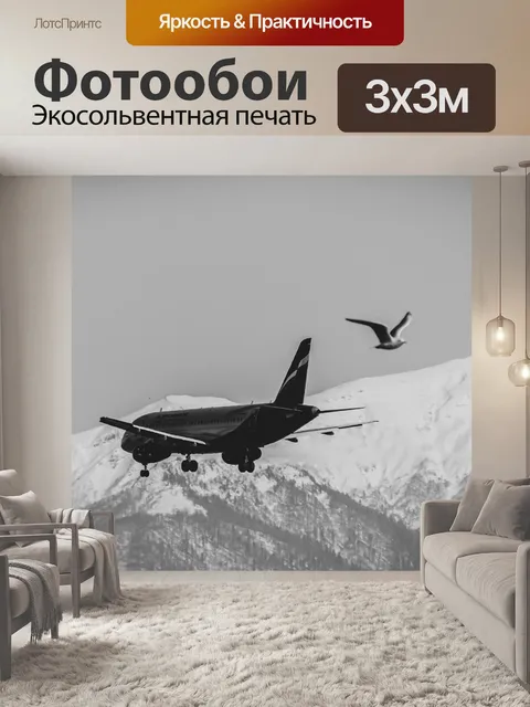 Фотообои Самолет