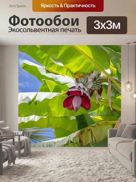 Фотообои Банановый цветок
