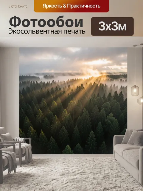 Фотообои Солнечные лучи над хвойным лесом