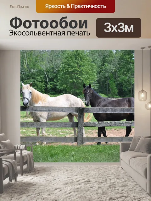 Фотообои Лошадь
