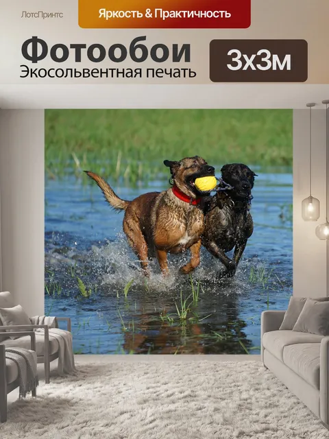 Фотообои Вода