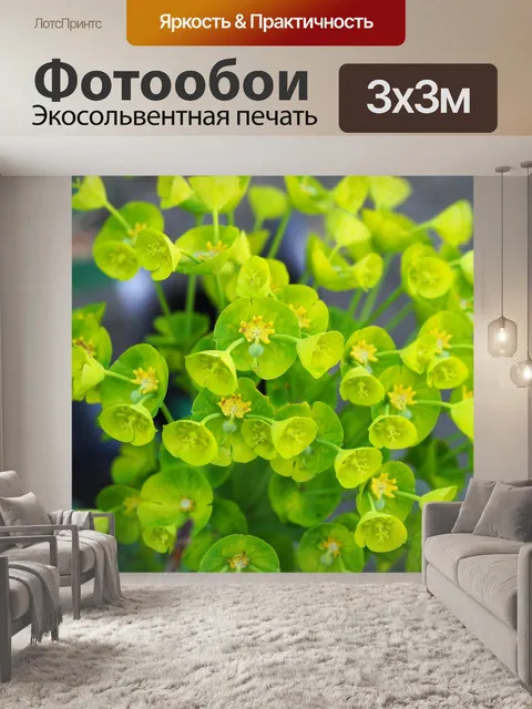 Фотообои Цветы