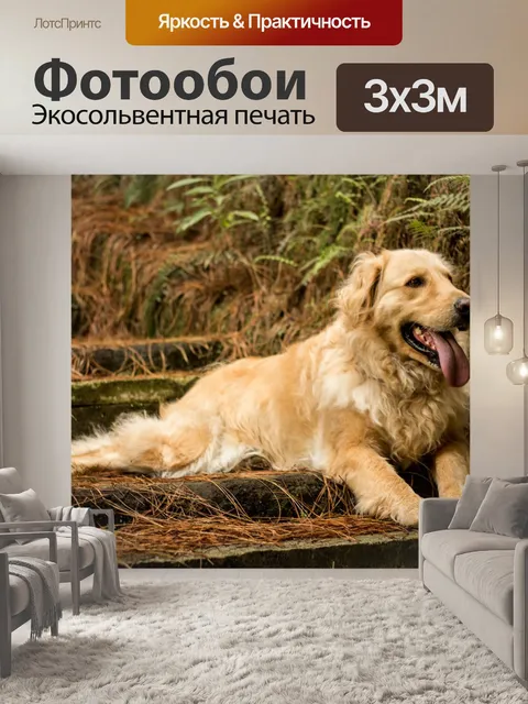 Фотообои Золотой