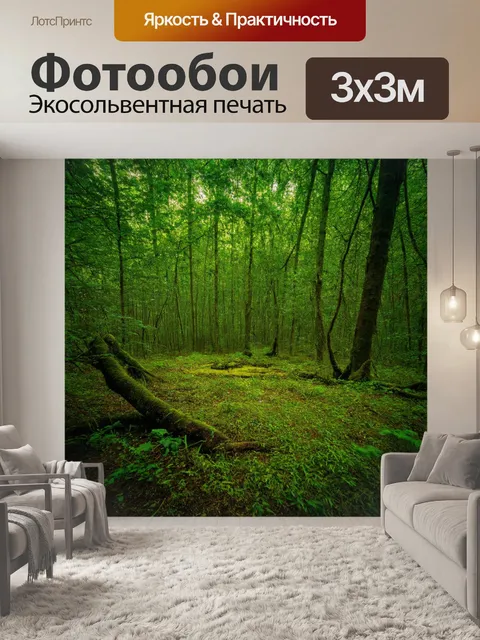 Фотообои лес с прохладной подстилкой, обеспечивающей уютный отдых