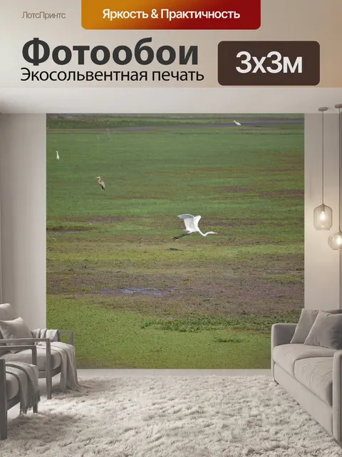 Фотообои Полет птицы