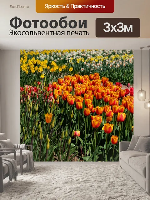 Фотообои Тюльпаны