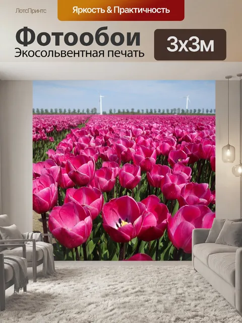Фотообои Тюльпаны