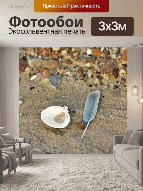 Фотообои Морская ракушка и перо на пляже