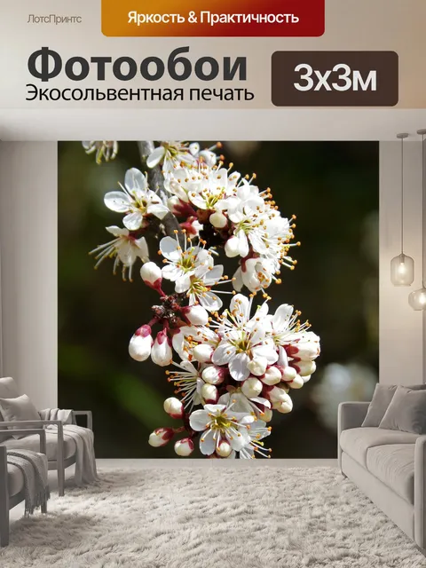 Фотообои Цветы