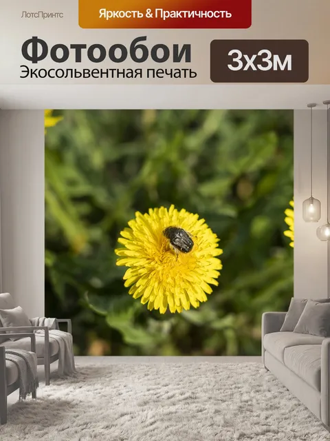 Фотообои Одуванчик
