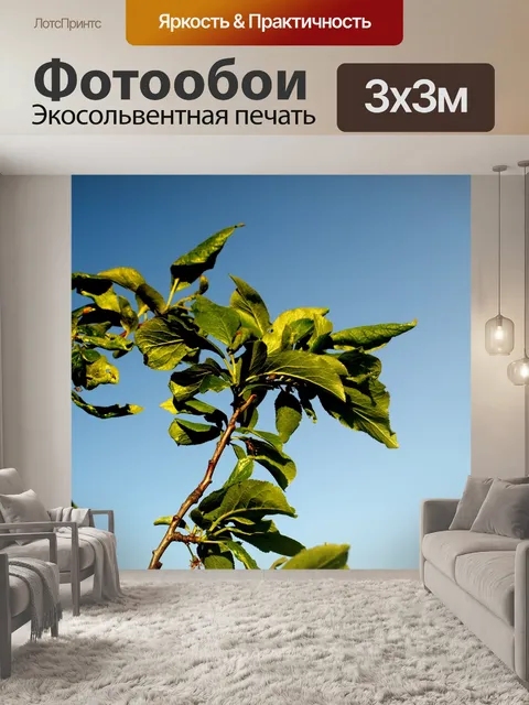 Фотообои Листья