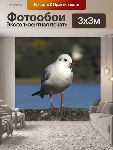 Фотообои Птицы