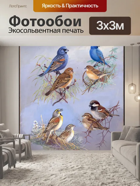 Фотообои Винтажная живопись птиц