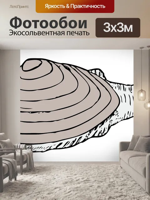 Фотообои Моллюск