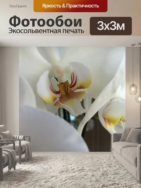 Фотообои Белый
