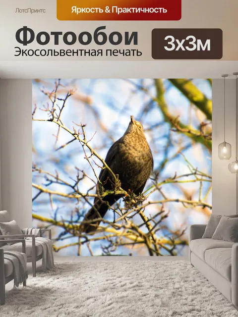 Фотообои Птица