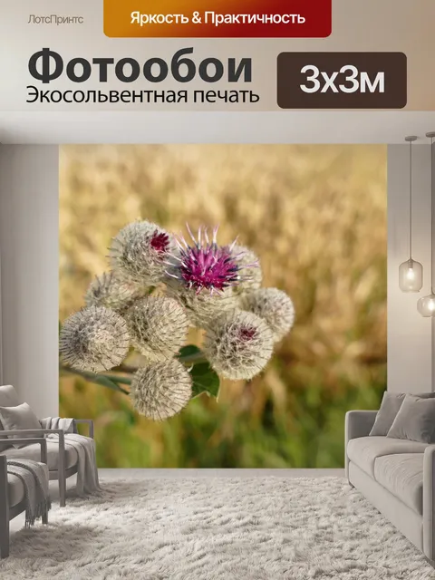 Фотообои Цветы