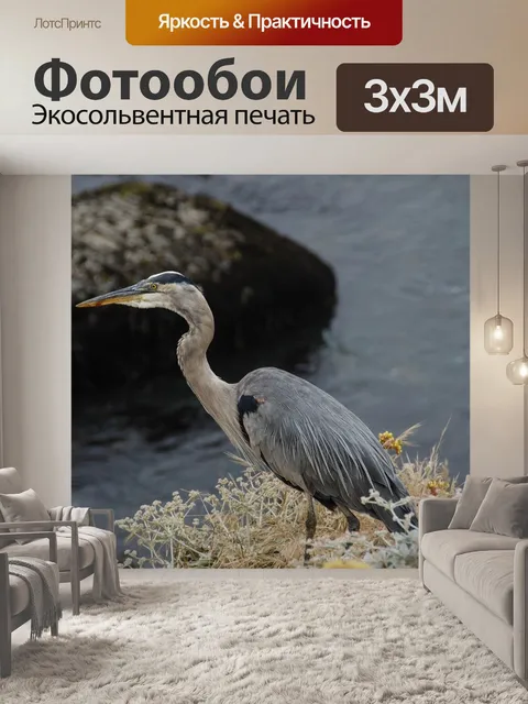 Фотообои Птица