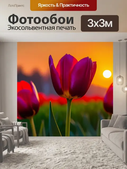 Фотообои тюльпаны со светом заката