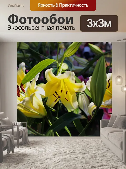 Фотообои Лилии