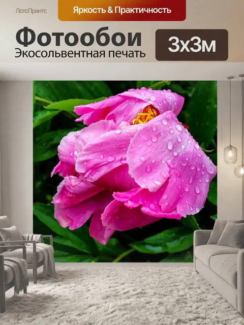 Фотообои Природа