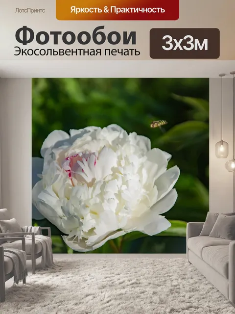 Фотообои Природа