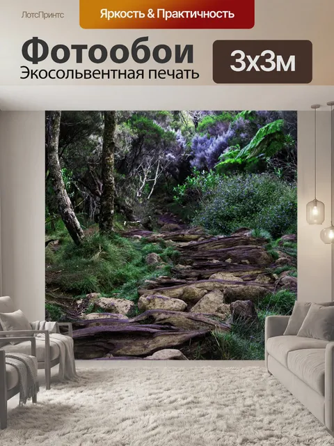 Фотообои Путь