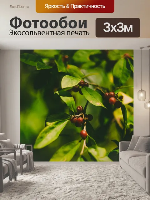 Фотообои Дерево