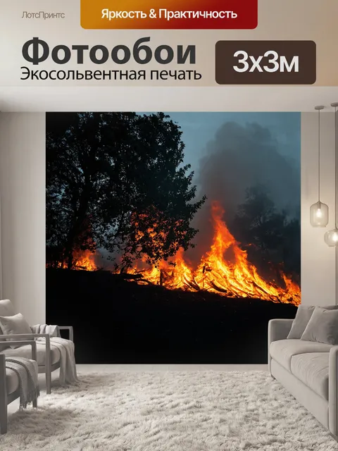 Фотообои туманные деревья стоят в стороне от перенапряженного пожара, их листья искрятся от жары, как будто они сгорают