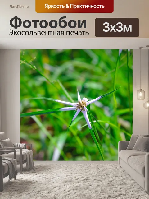 Фотообои Narure