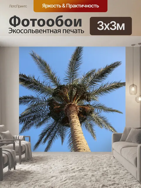 Фотообои Пальма