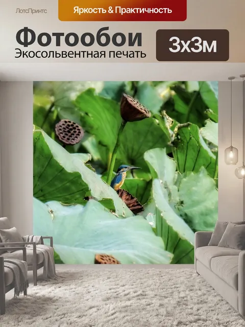 Фотообои Животное
