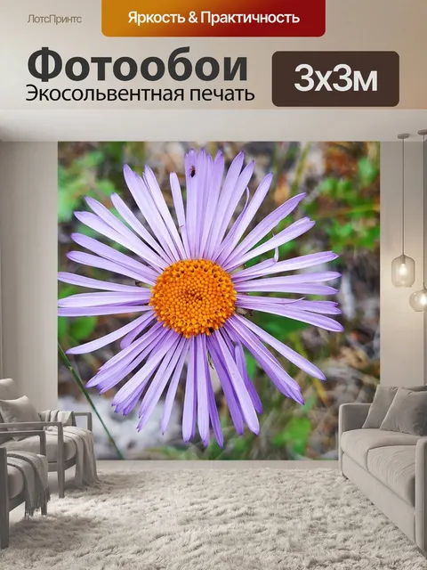 Фотообои Цветок
