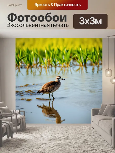Фотообои птица, выделяющаяся на фоне затопленного поля, в технике фотографий с яркими и насыщенными цветами, создавая…