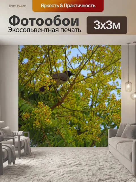 Фотообои Птица