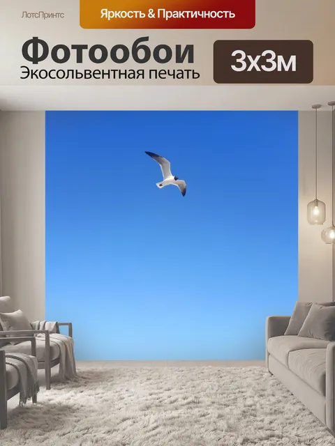 Фотообои Птица