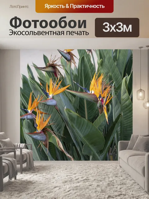 Фотообои Цветы