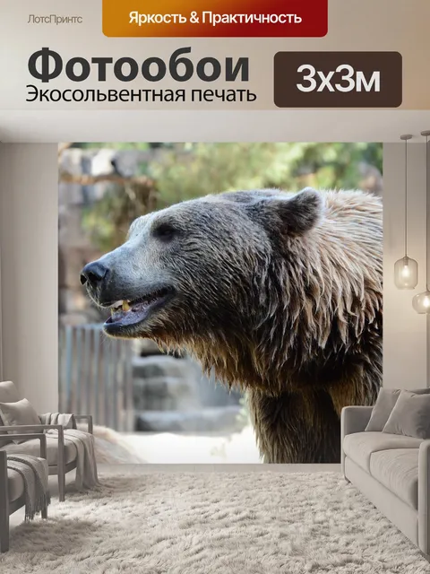 Фотообои Медведь