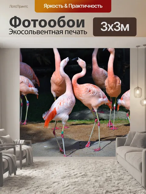 Фотообои Фламинго