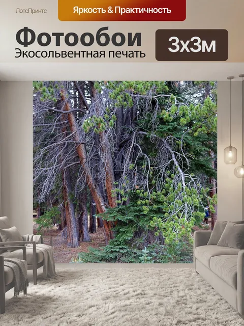 Фотообои Деревья