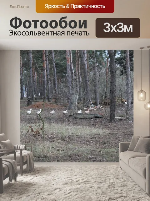 Фотообои Гусь