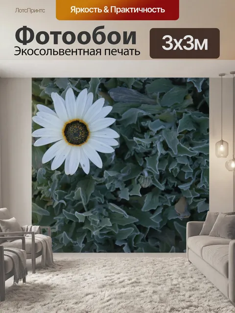 Фотообои Белый цветок