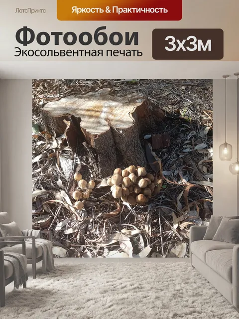 Фотообои Поганки с лесными грибами