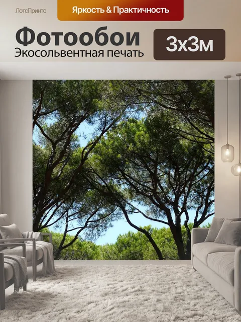 Фотообои Сосны