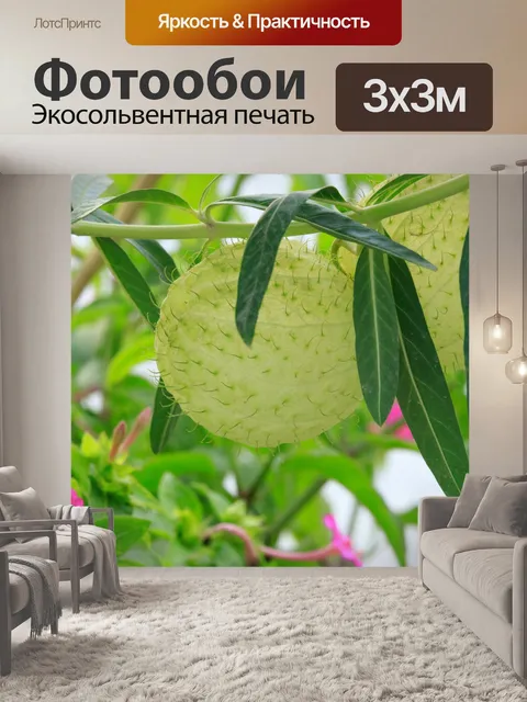 Фотообои Красивый цветок