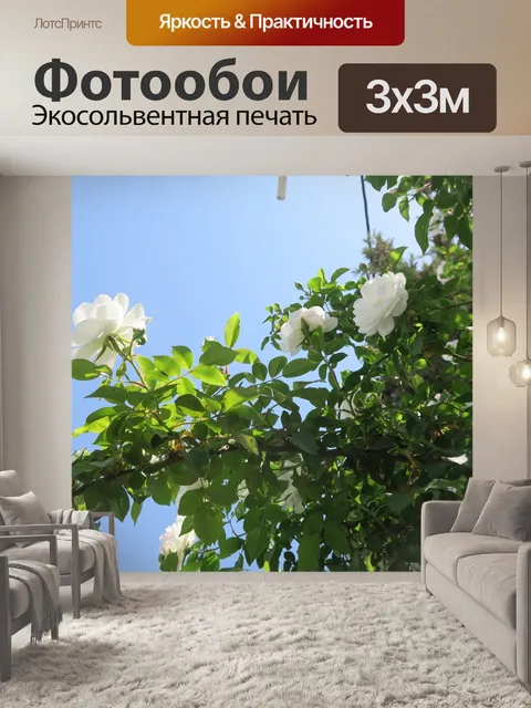 Фотообои Трава