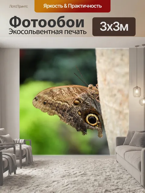 Фотообои Бабочки 01