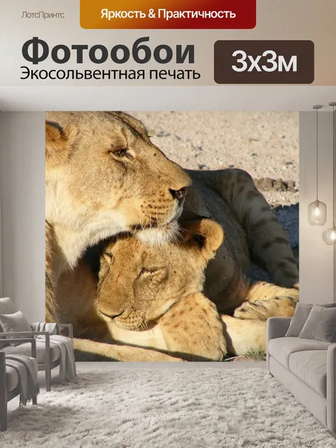 Фотообои Детеныш