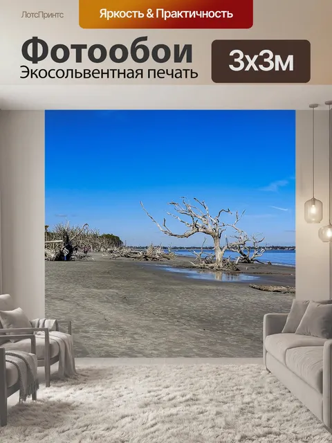 Фотообои Пейзаж пляжа Дрифвуд